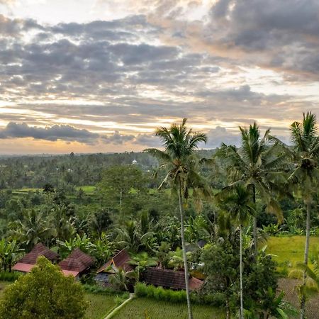 Wina Wani Bungalows Tetebatu Dış mekan fotoğraf