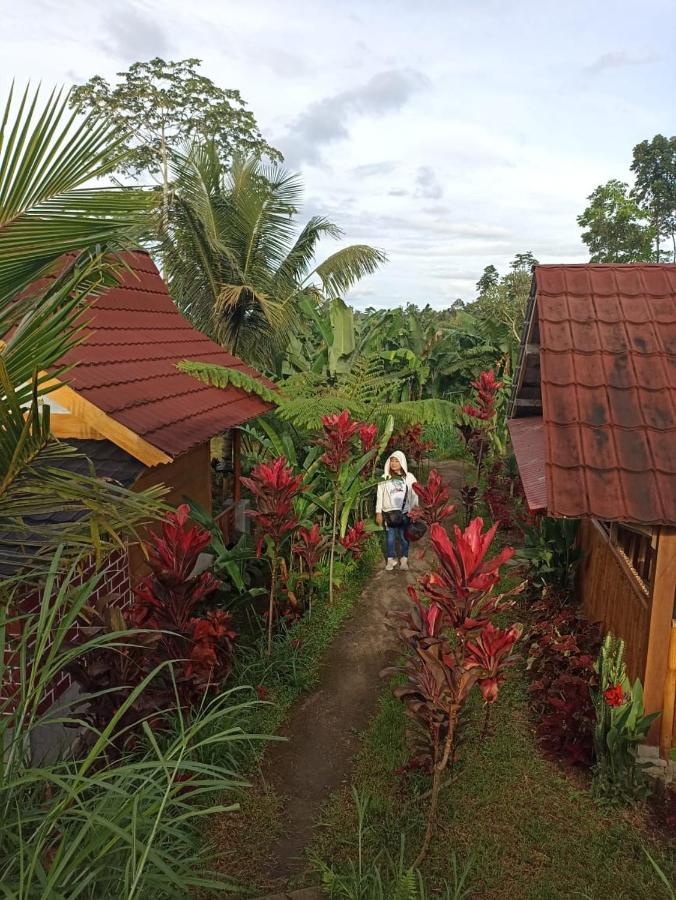 Wina Wani Bungalows Tetebatu Dış mekan fotoğraf