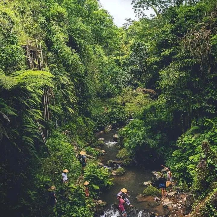 Wina Wani Bungalows Tetebatu Dış mekan fotoğraf