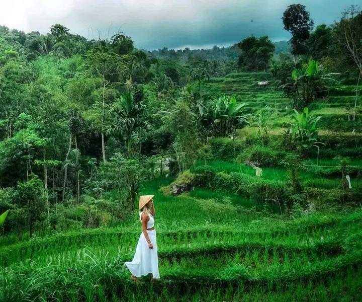 Wina Wani Bungalows Tetebatu Dış mekan fotoğraf