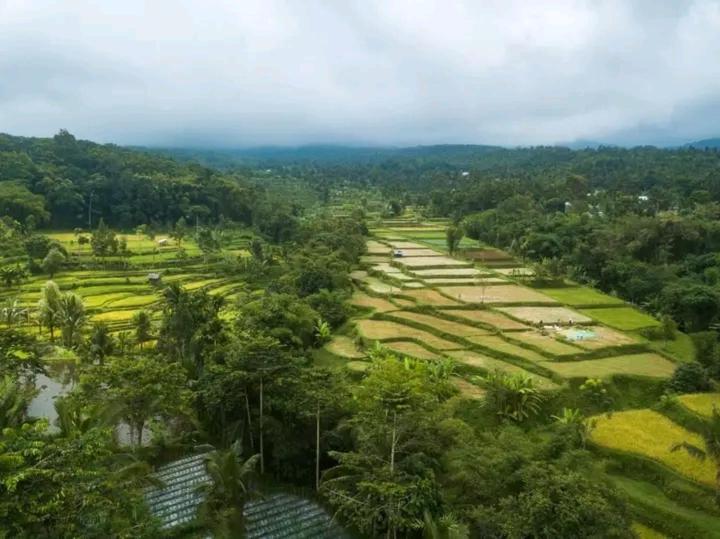 Wina Wani Bungalows Tetebatu Dış mekan fotoğraf