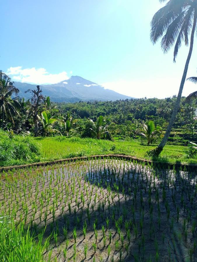 Wina Wani Bungalows Tetebatu Dış mekan fotoğraf