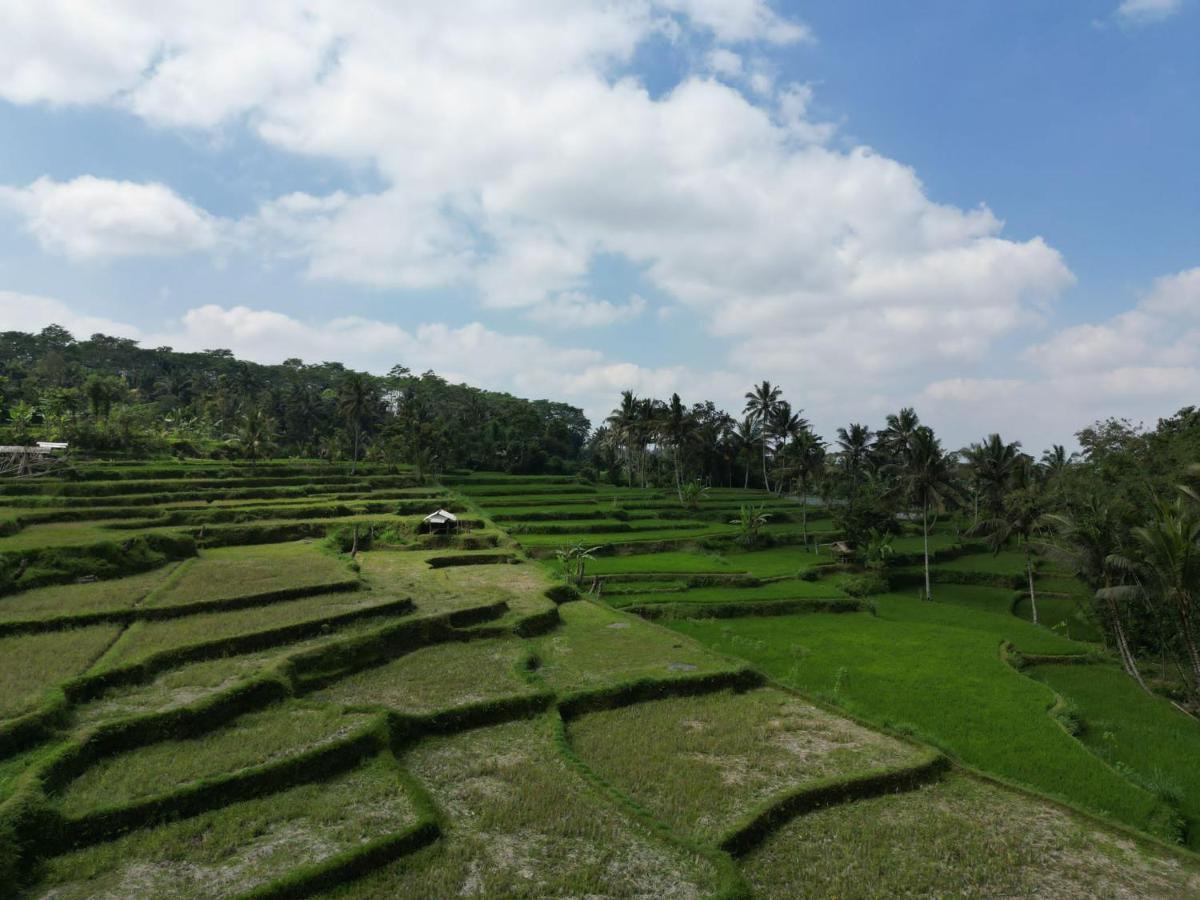 Wina Wani Bungalows Tetebatu Dış mekan fotoğraf