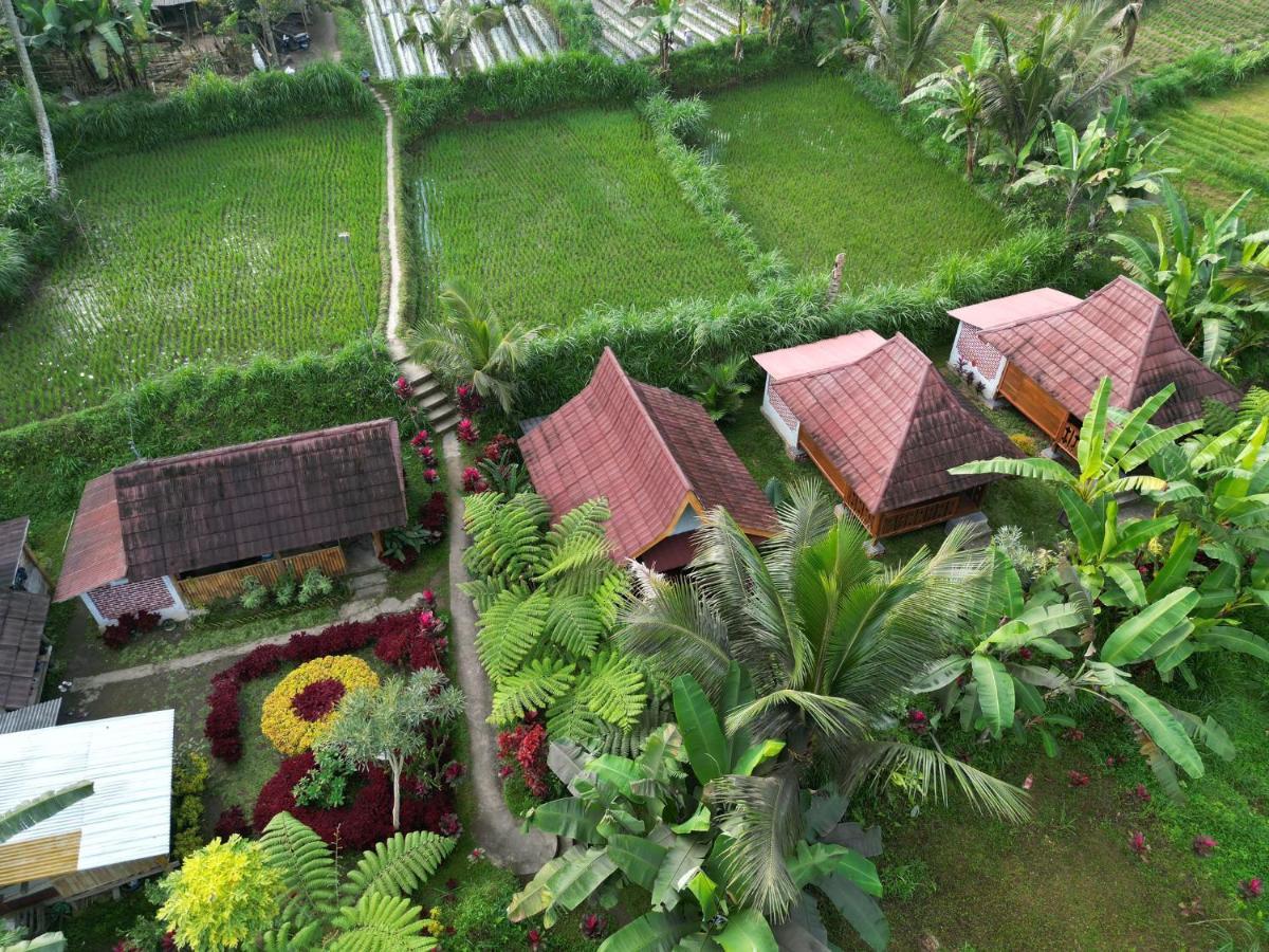 Wina Wani Bungalows Tetebatu Dış mekan fotoğraf