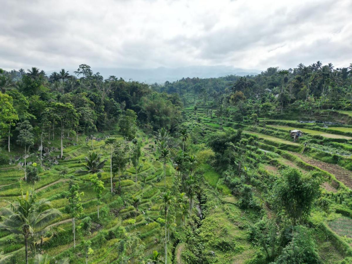 Wina Wani Bungalows Tetebatu Dış mekan fotoğraf