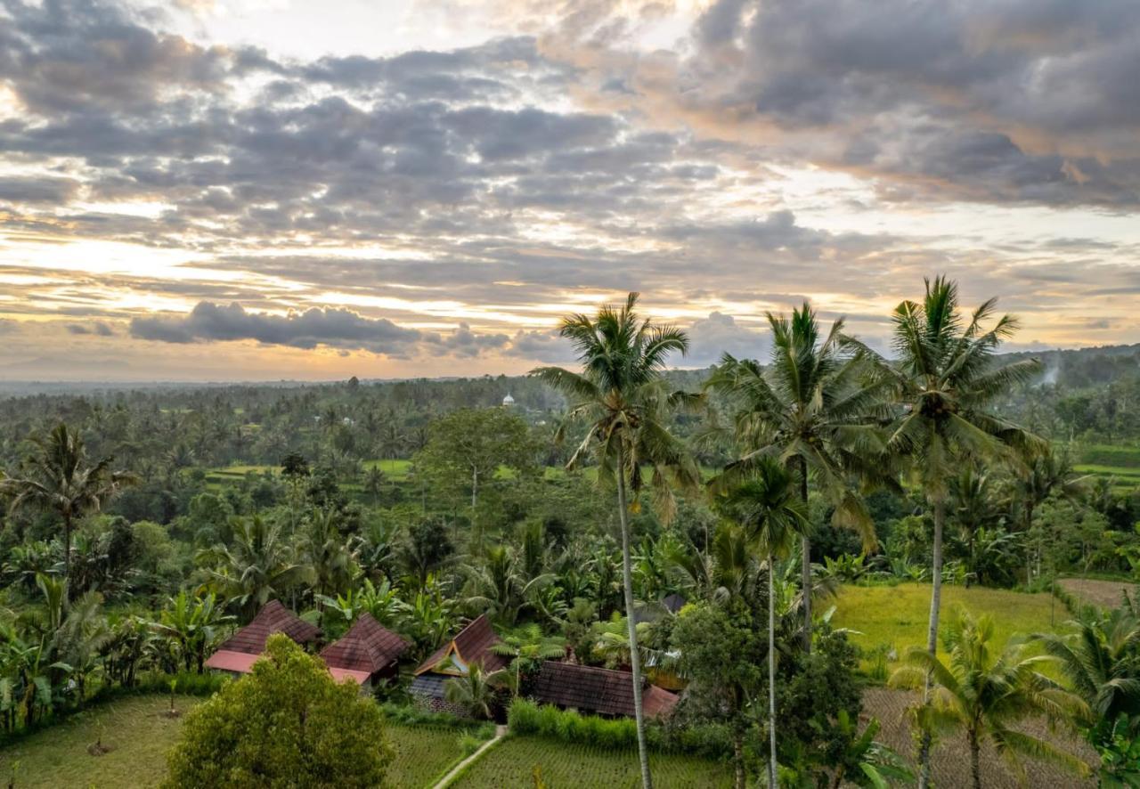 Wina Wani Bungalows Tetebatu Dış mekan fotoğraf