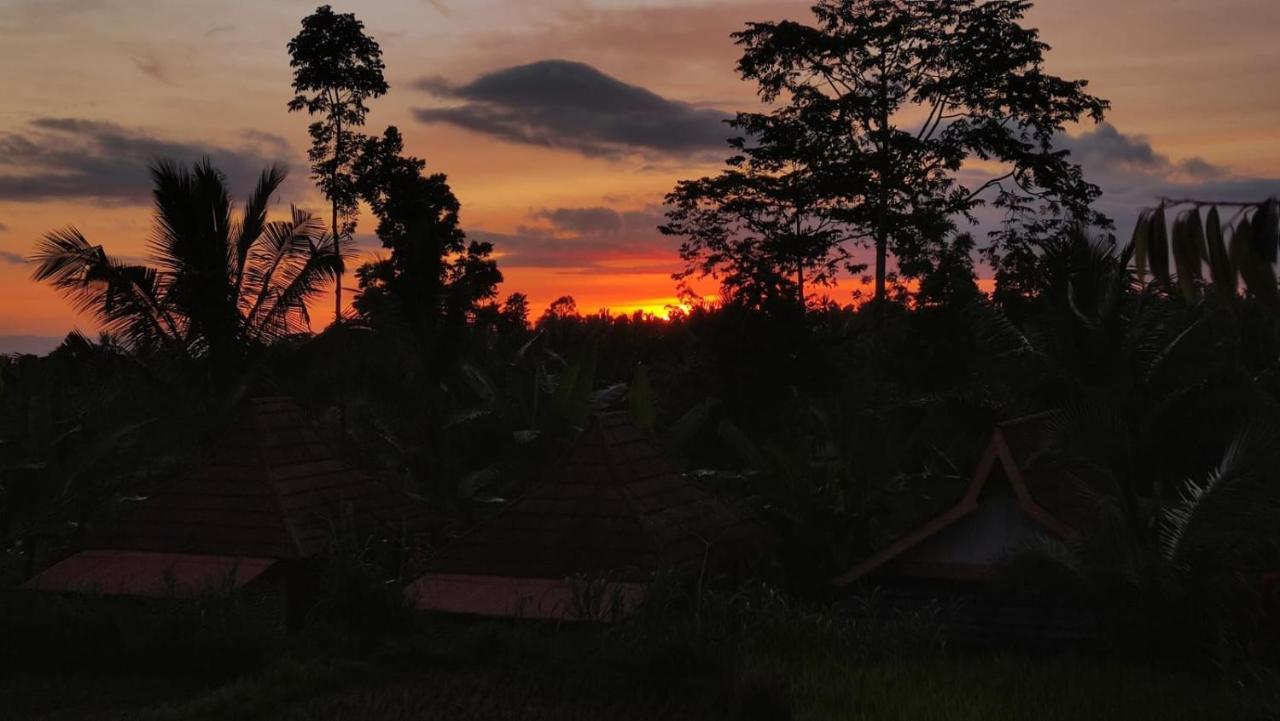 Wina Wani Bungalows Tetebatu Dış mekan fotoğraf